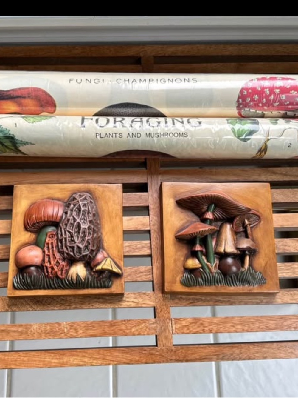 Mushroom Plaques & poster set